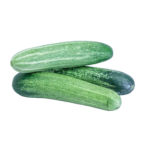 TIMUN