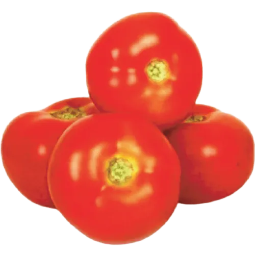 TOMATO CAMERON 1KG